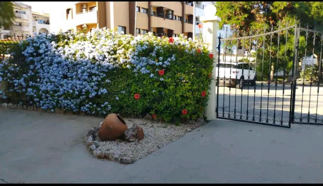 Apartament Casa Kari Albufeira